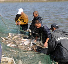 吉林省加强水产品质量安全监管工作